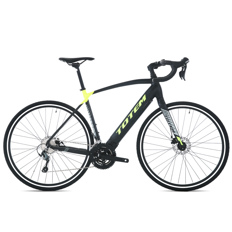 golden wheel bicycle group